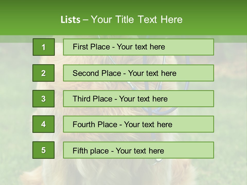 Dog With Stethoscope On Garden PowerPoint Template