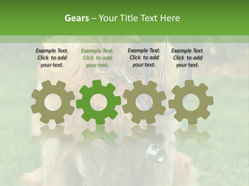 Dog With Stethoscope On Garden PowerPoint Template