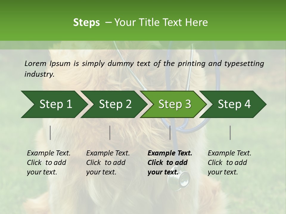 Dog With Stethoscope On Garden PowerPoint Template