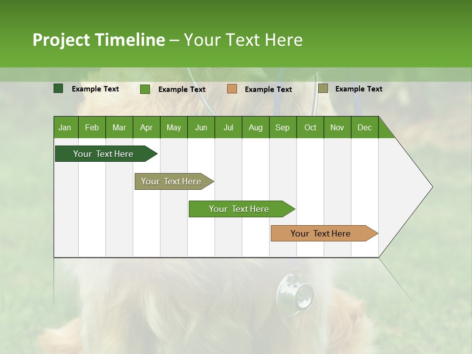 Dog With Stethoscope On Garden PowerPoint Template