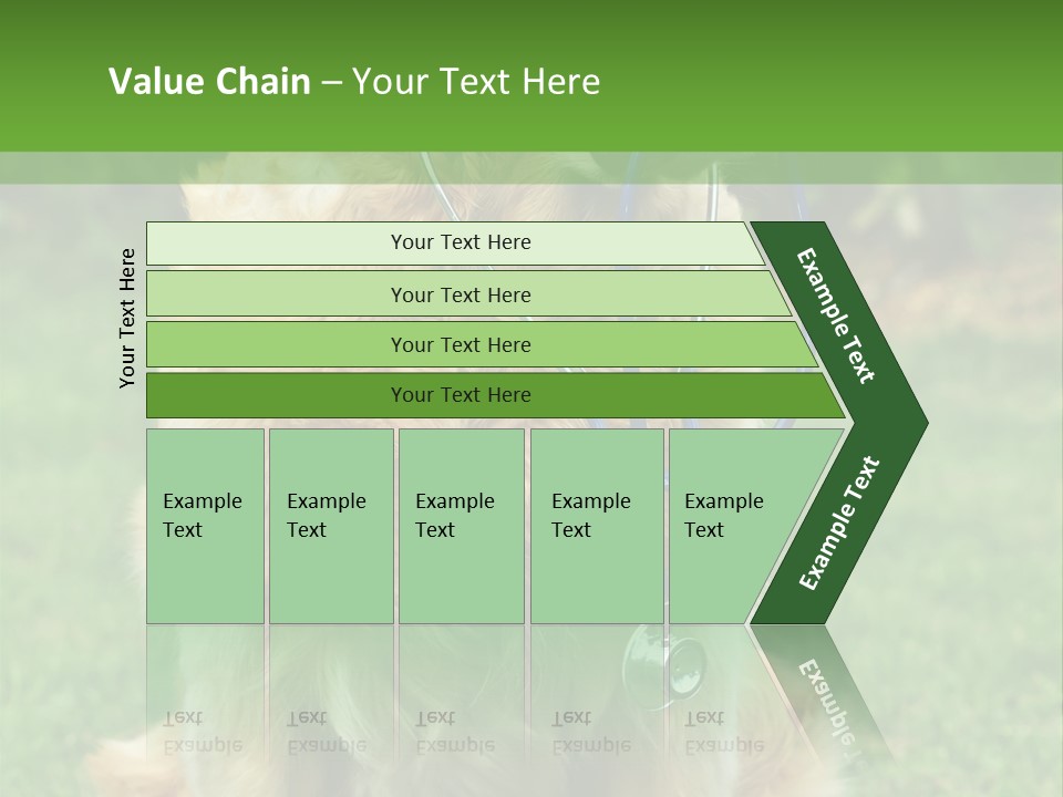 Dog With Stethoscope On Garden PowerPoint Template