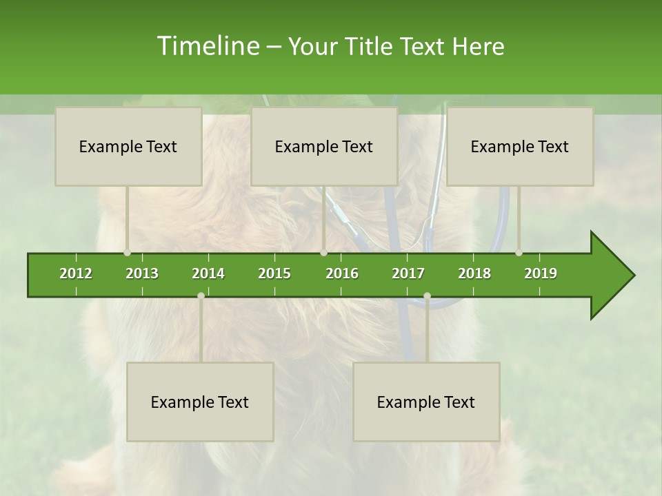 Dog With Stethoscope On Garden PowerPoint Template