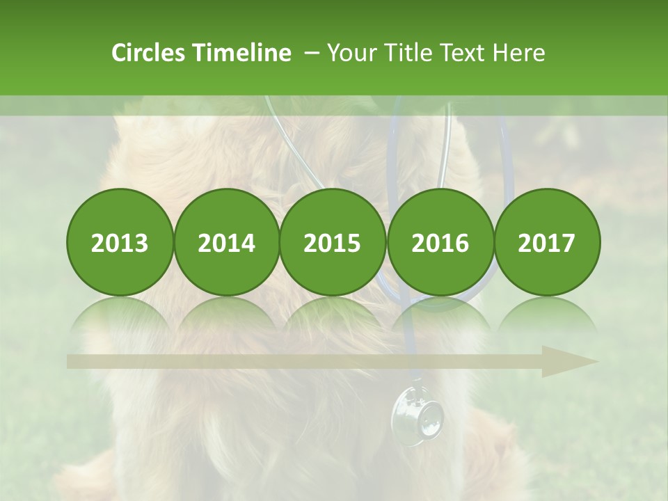 Dog With Stethoscope On Garden PowerPoint Template