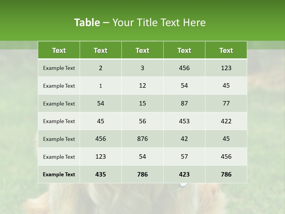 Dog With Stethoscope On Garden PowerPoint Template