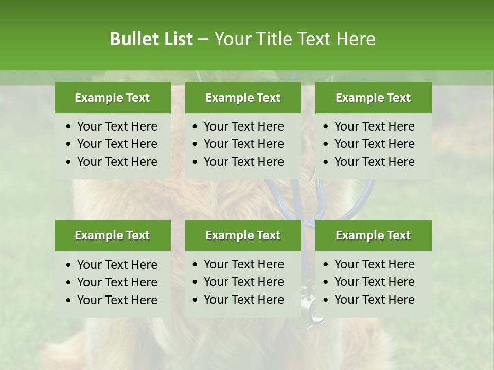 Dog With Stethoscope On Garden PowerPoint Template