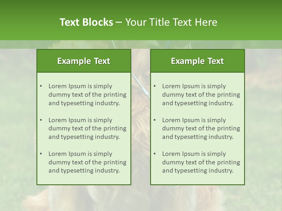 Dog With Stethoscope On Garden PowerPoint Template