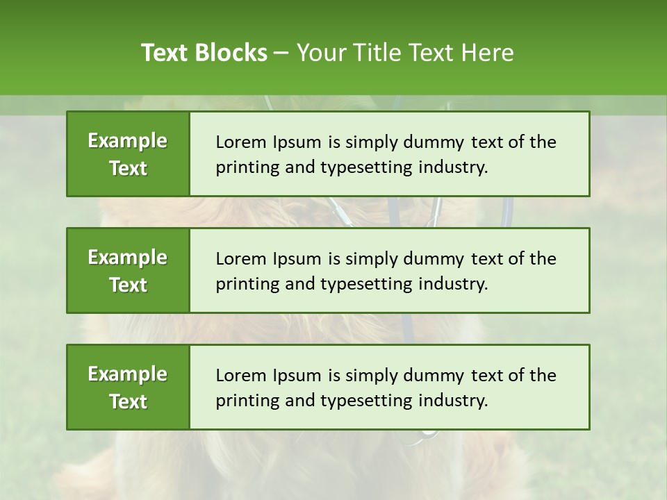 Dog With Stethoscope On Garden PowerPoint Template