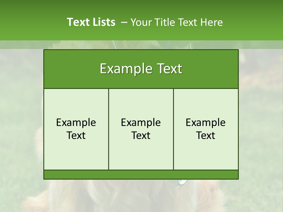 Dog With Stethoscope On Garden PowerPoint Template