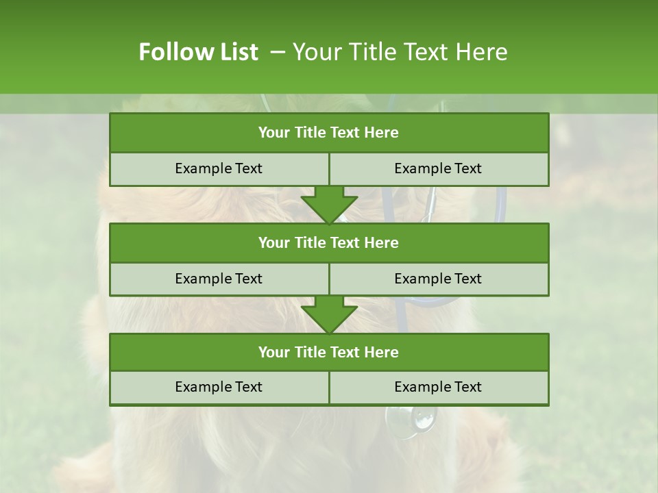 Dog With Stethoscope On Garden PowerPoint Template