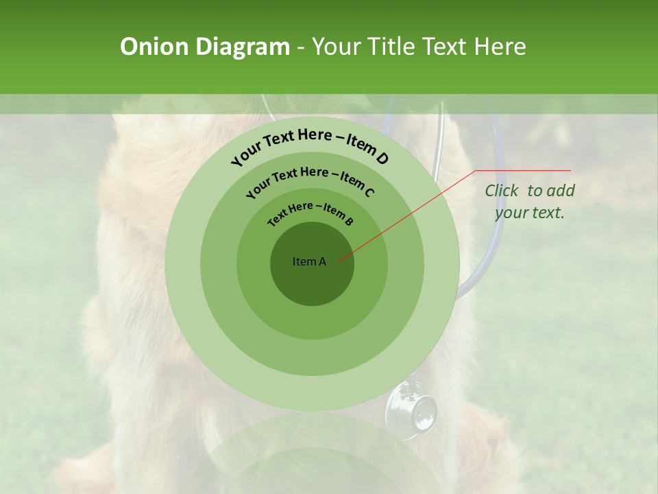 Dog With Stethoscope On Garden PowerPoint Template