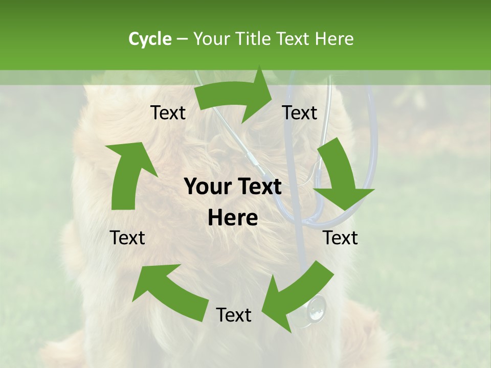 Dog With Stethoscope On Garden PowerPoint Template