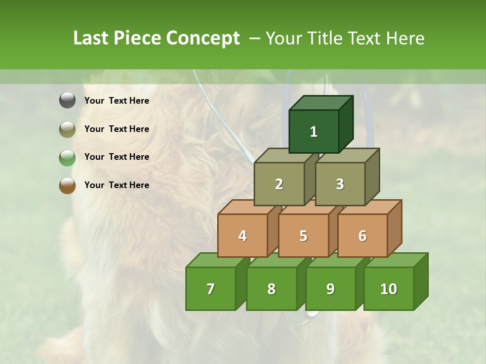 Dog With Stethoscope On Garden PowerPoint Template