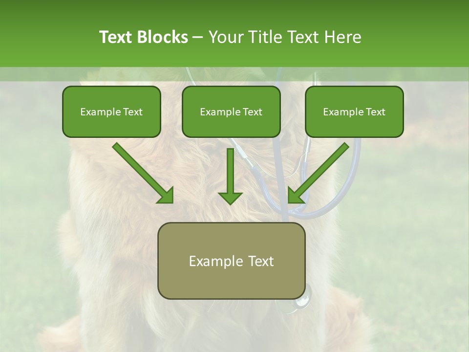 Dog With Stethoscope On Garden PowerPoint Template