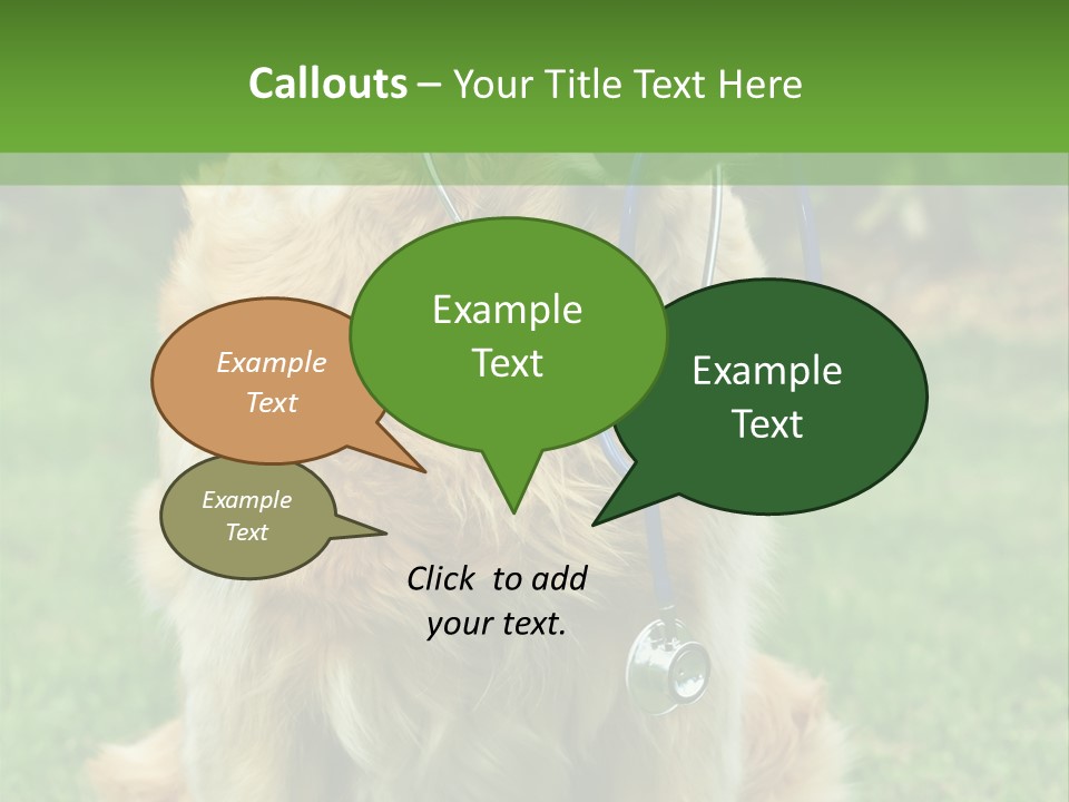 Dog With Stethoscope On Garden PowerPoint Template