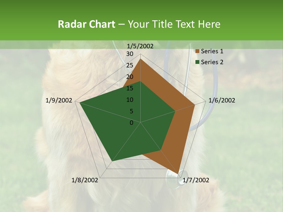 Dog With Stethoscope On Garden PowerPoint Template