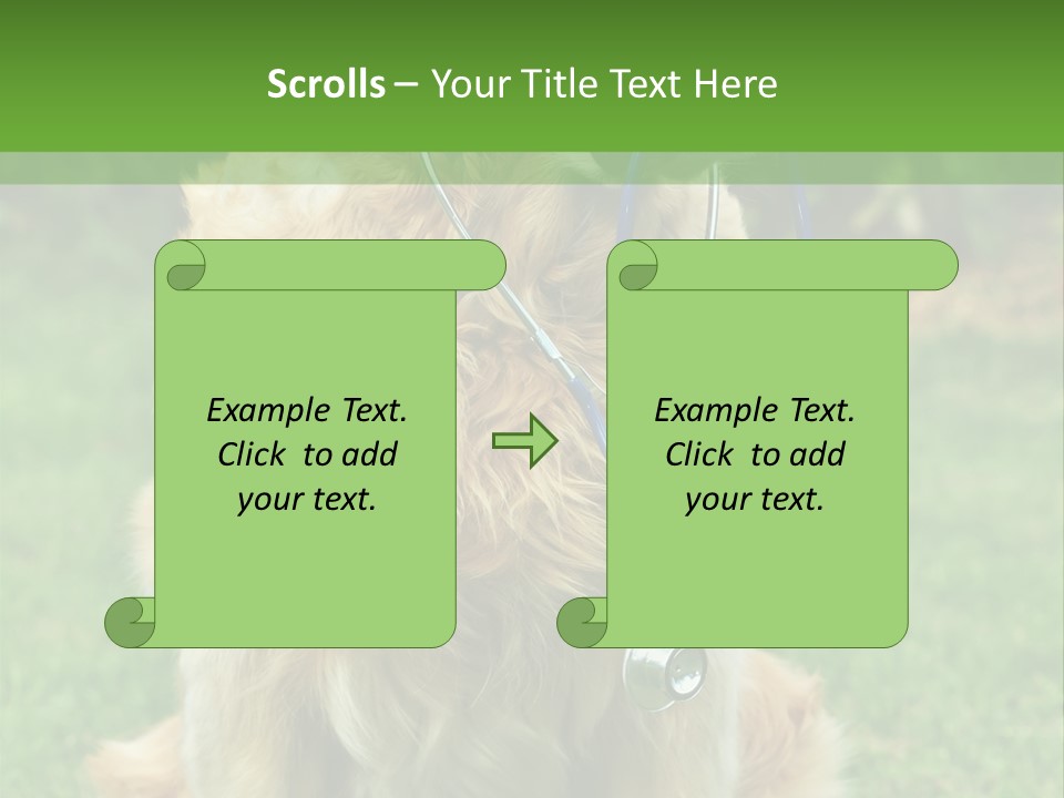 Dog With Stethoscope On Garden PowerPoint Template