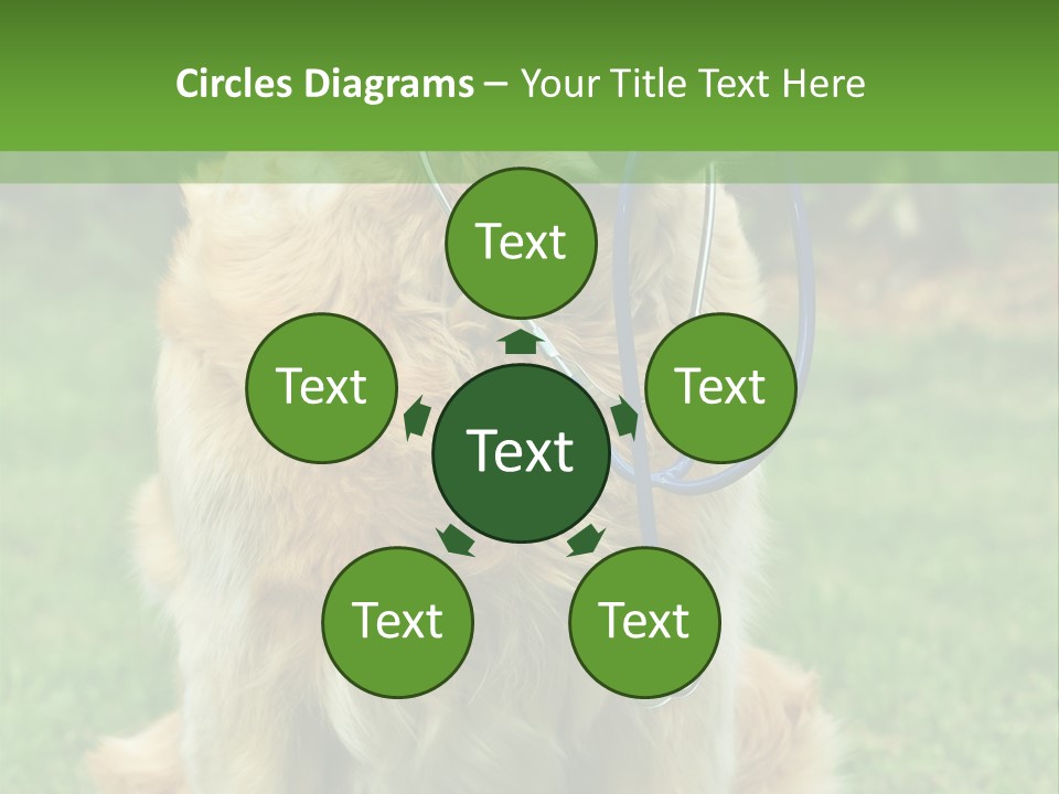 Dog With Stethoscope On Garden PowerPoint Template