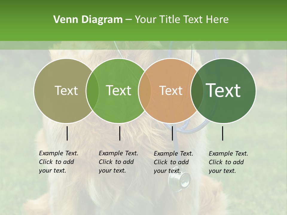 Dog With Stethoscope On Garden PowerPoint Template