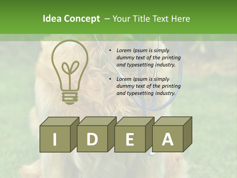 Dog With Stethoscope On Garden PowerPoint Template