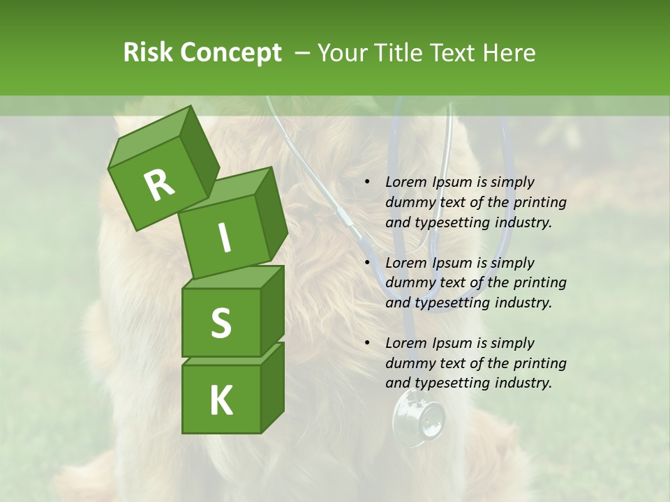 Dog With Stethoscope On Garden PowerPoint Template