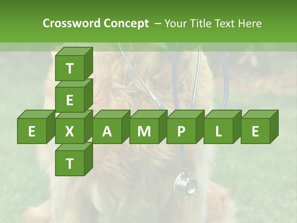 Dog With Stethoscope On Garden PowerPoint Template