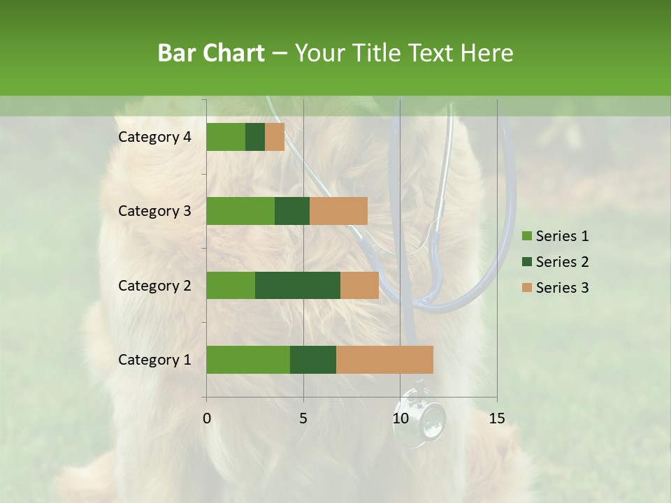 Dog With Stethoscope On Garden PowerPoint Template