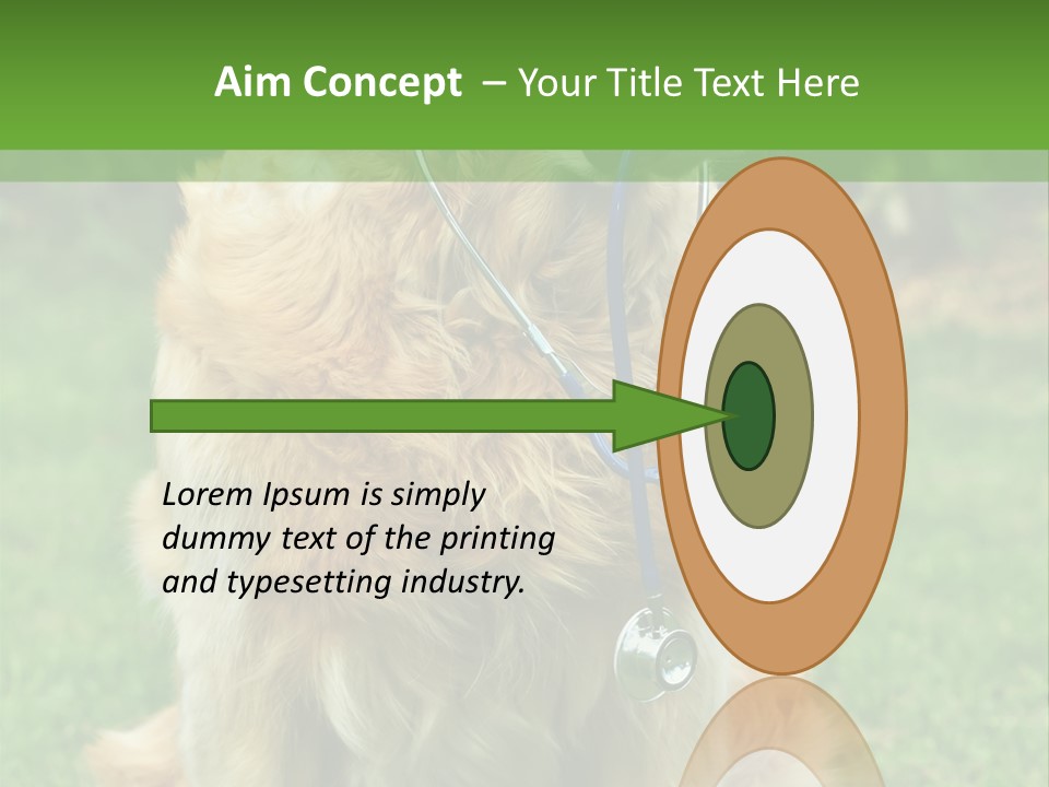 Dog With Stethoscope On Garden PowerPoint Template