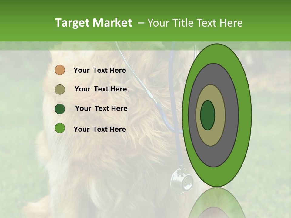 Dog With Stethoscope On Garden PowerPoint Template