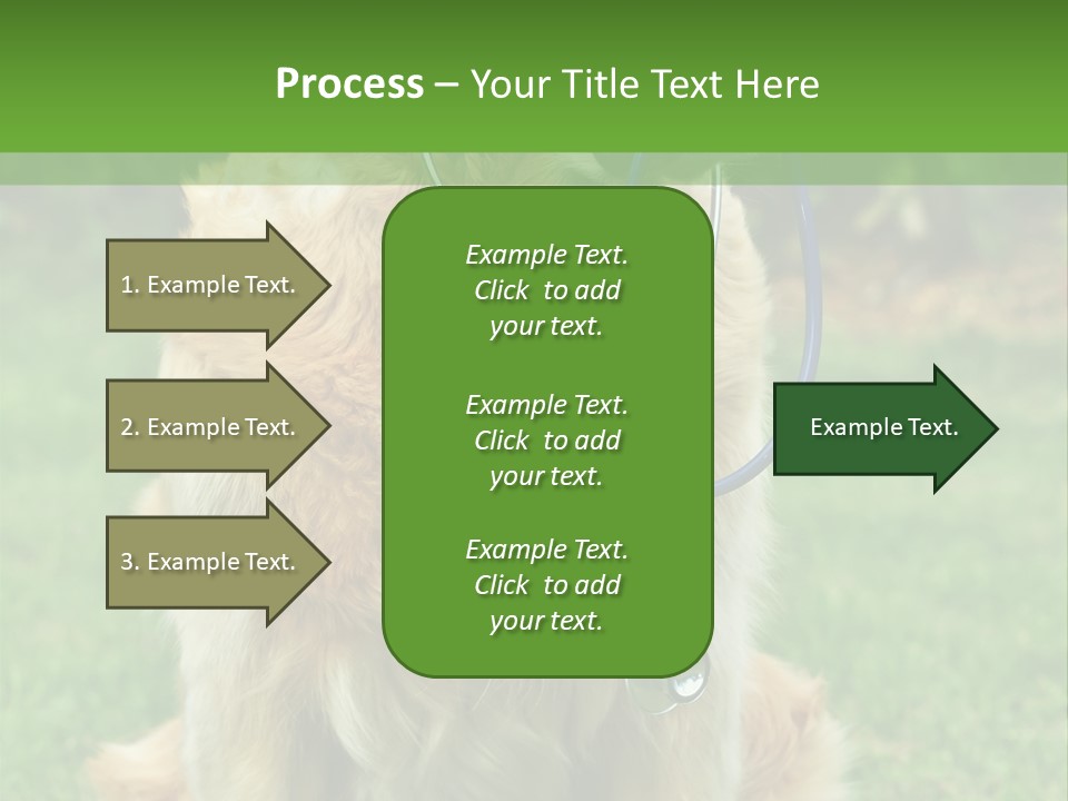 Dog With Stethoscope On Garden PowerPoint Template