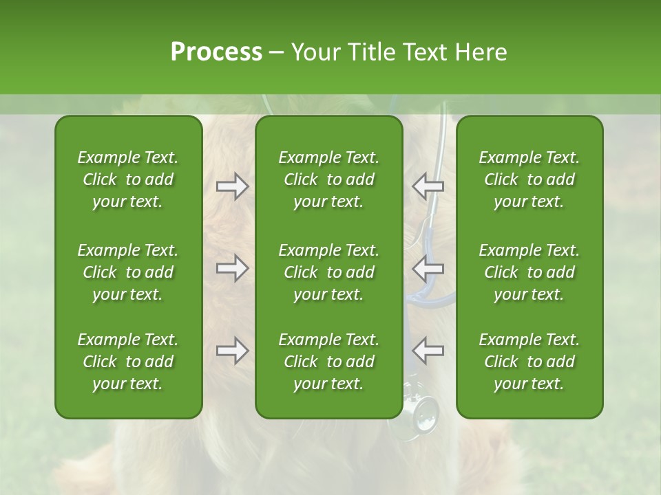 Dog With Stethoscope On Garden PowerPoint Template