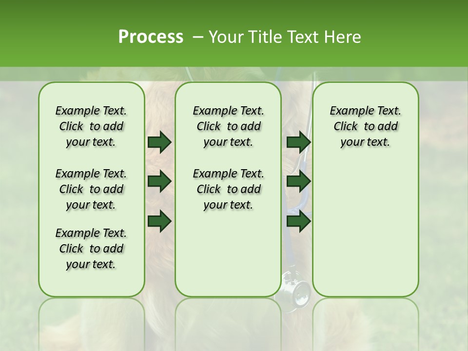 Dog With Stethoscope On Garden PowerPoint Template