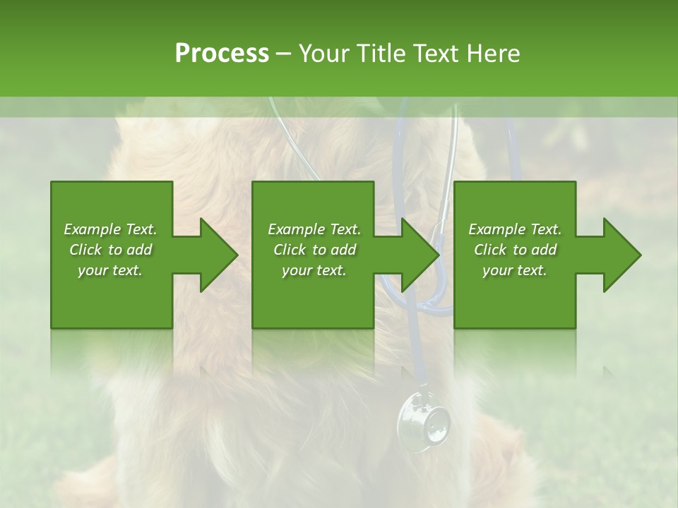 Dog With Stethoscope On Garden PowerPoint Template