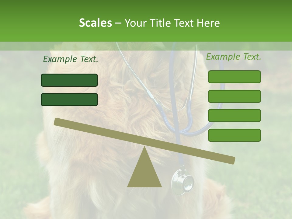 Dog With Stethoscope On Garden PowerPoint Template