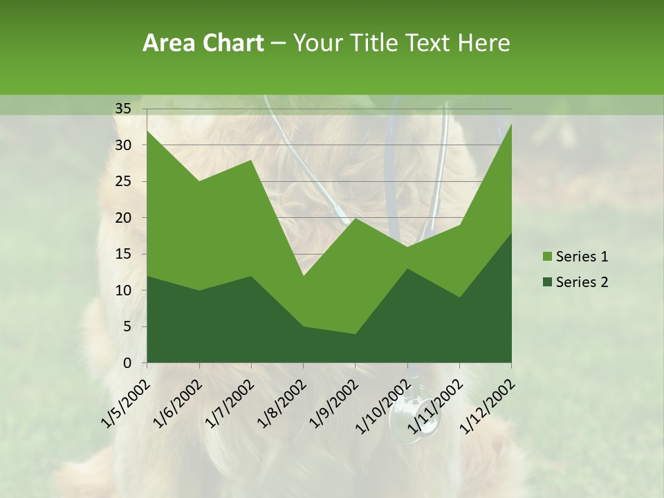 Dog With Stethoscope On Garden PowerPoint Template