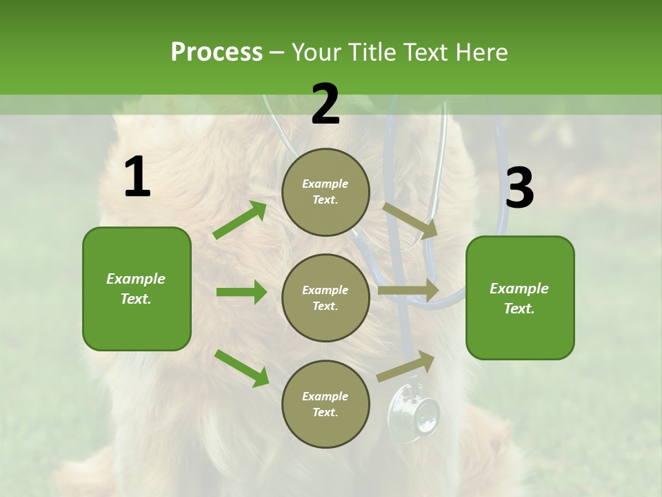 Dog With Stethoscope On Garden PowerPoint Template