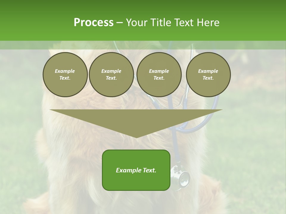 Dog With Stethoscope On Garden PowerPoint Template