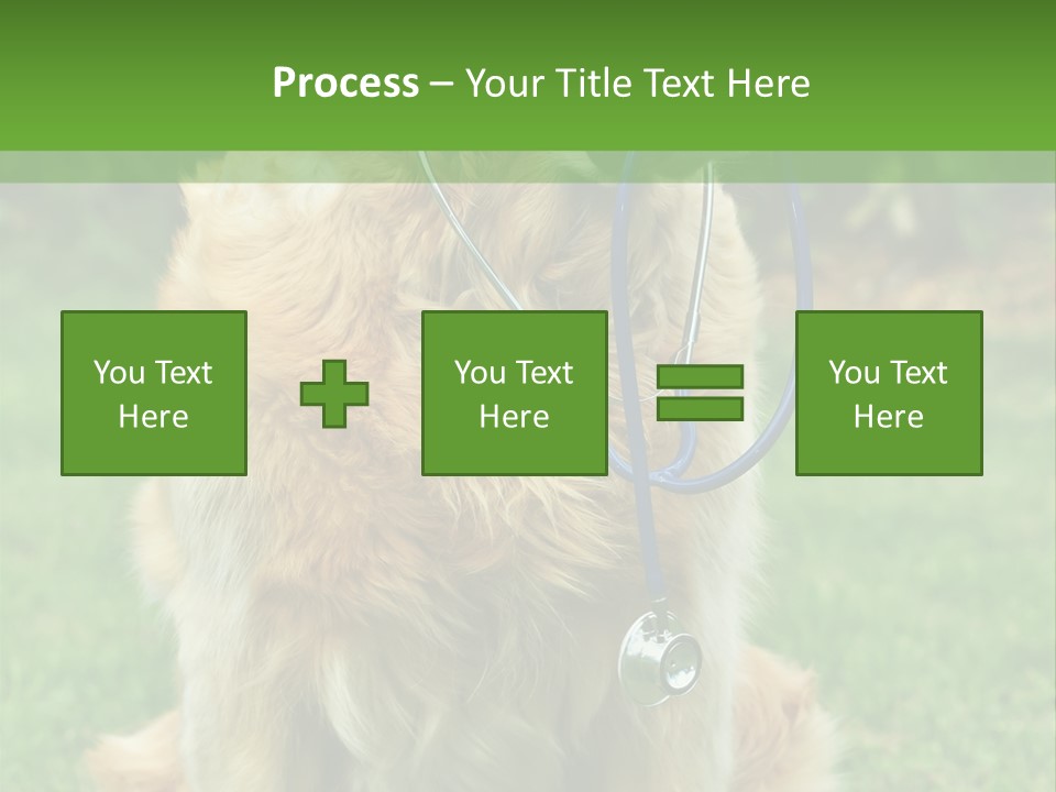 Dog With Stethoscope On Garden PowerPoint Template