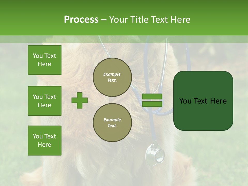 Dog With Stethoscope On Garden PowerPoint Template