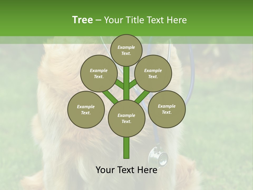 Dog With Stethoscope On Garden PowerPoint Template