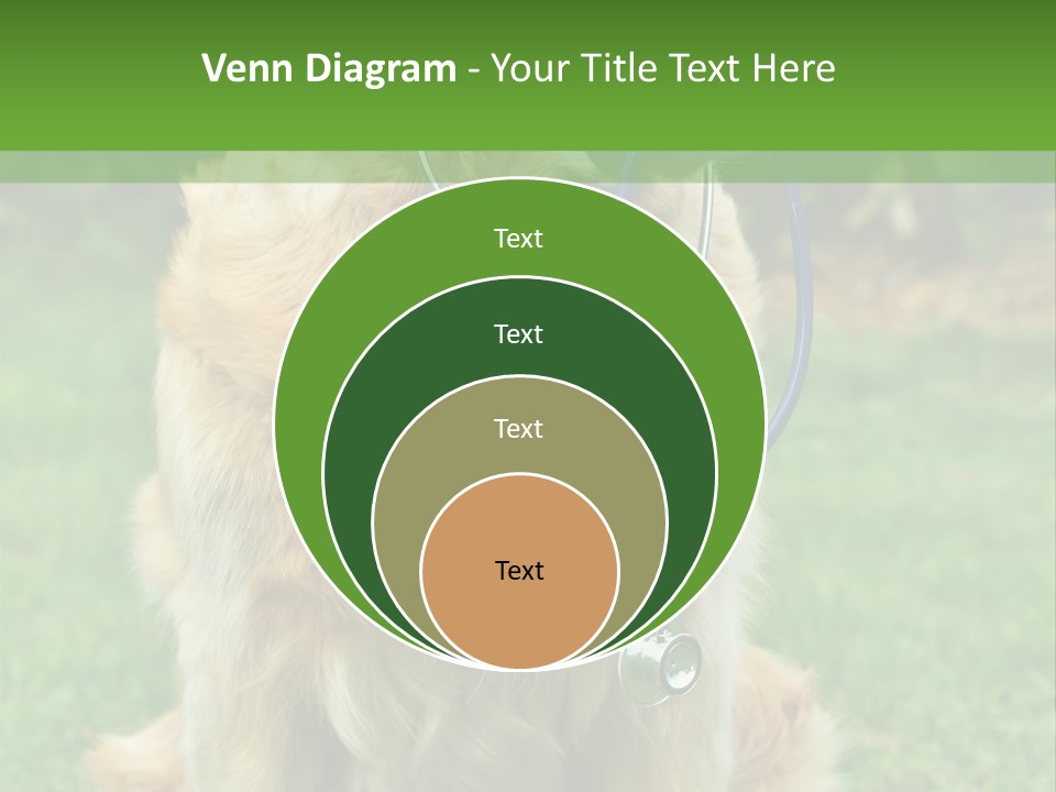 Dog With Stethoscope On Garden PowerPoint Template