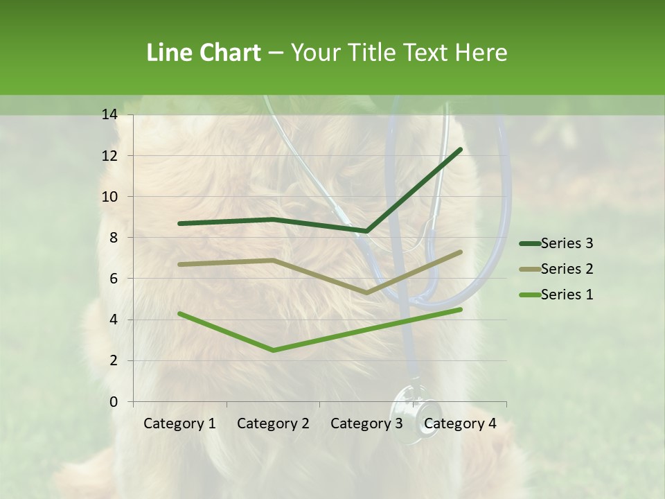 Dog With Stethoscope On Garden PowerPoint Template