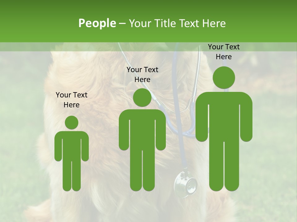 Dog With Stethoscope On Garden PowerPoint Template