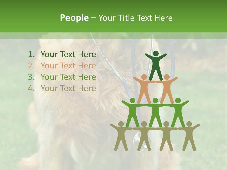 Dog With Stethoscope On Garden PowerPoint Template