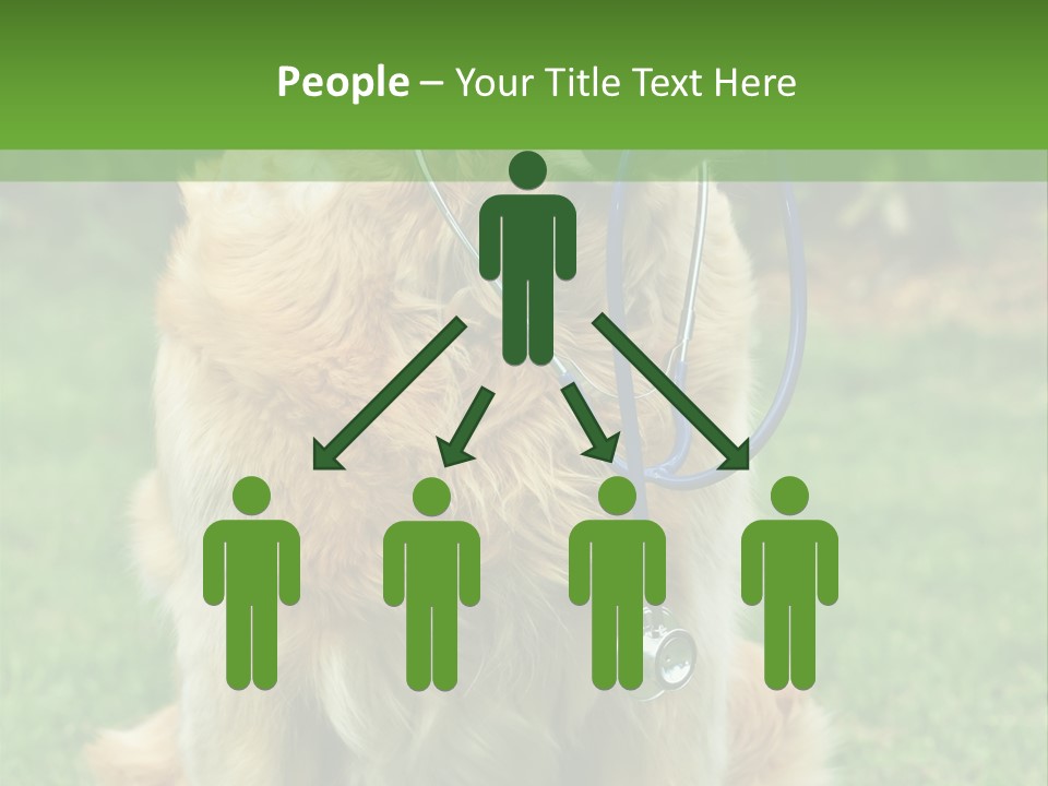 Dog With Stethoscope On Garden PowerPoint Template