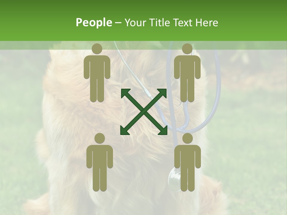 Dog With Stethoscope On Garden PowerPoint Template