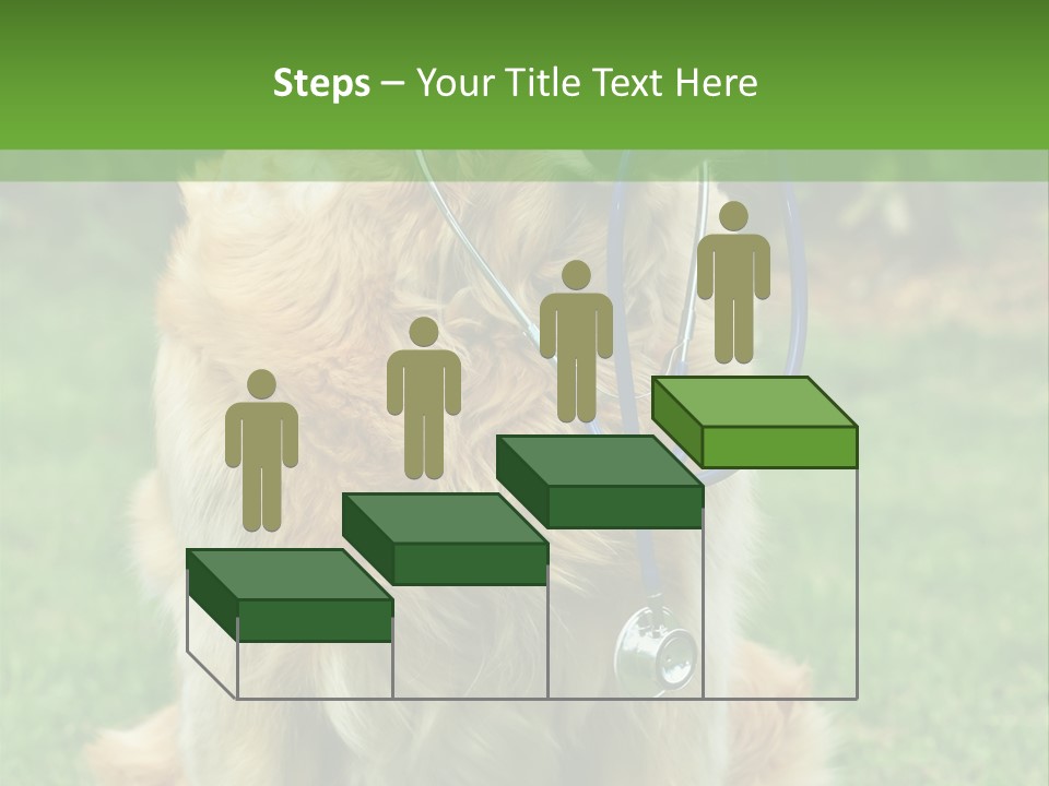 Dog With Stethoscope On Garden PowerPoint Template