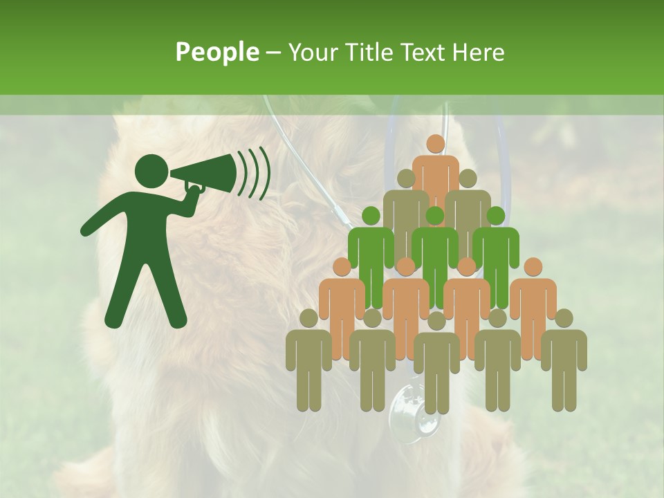 Dog With Stethoscope On Garden PowerPoint Template