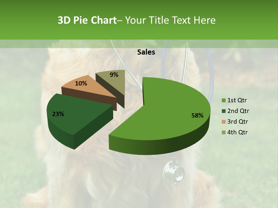 Dog With Stethoscope On Garden PowerPoint Template