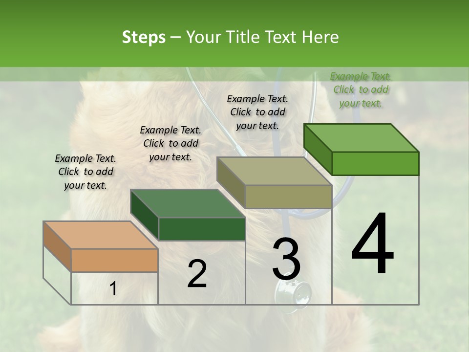 Dog With Stethoscope On Garden PowerPoint Template
