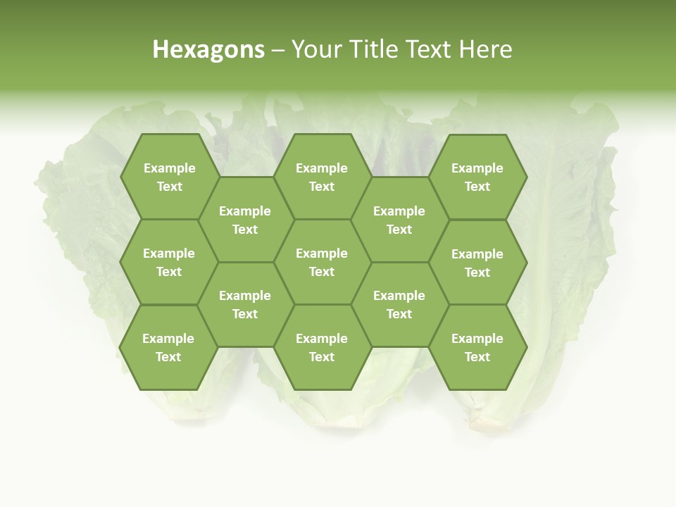 Chinese Lettuce In Isolated White Background PowerPoint Template